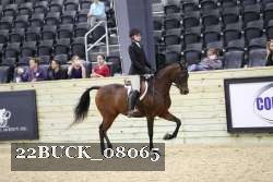 22BUCK_08065 proof