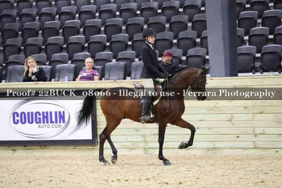 Proof 22BUCK_08066