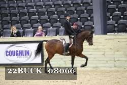 22BUCK_08066 proof