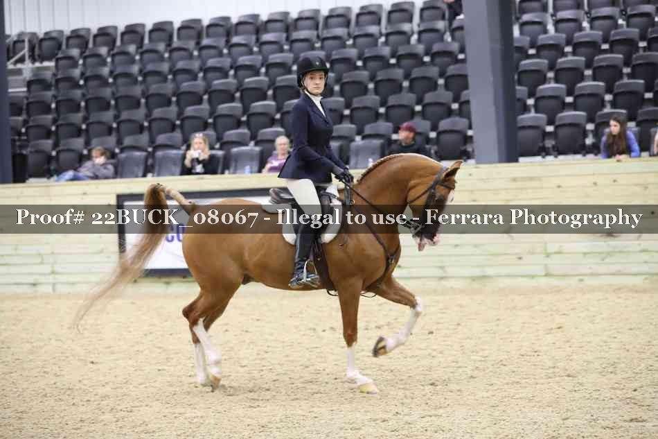 Proof 22BUCK_08067