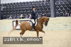 22BUCK_08067 proof