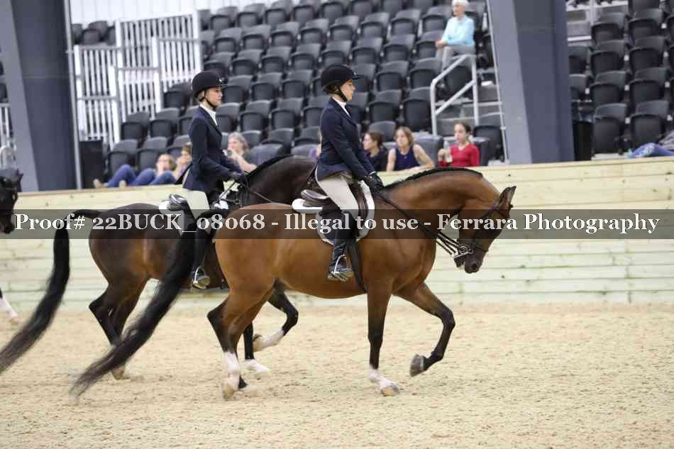 Proof 22BUCK_08068
