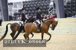 22BUCK_08068 proof