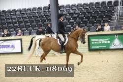 22BUCK_08069 proof