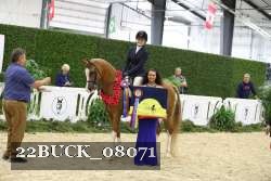 22BUCK_08071 proof