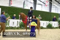 22BUCK_08073 proof