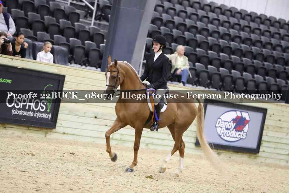Proof 22BUCK_08074
