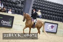 22BUCK_08074 proof