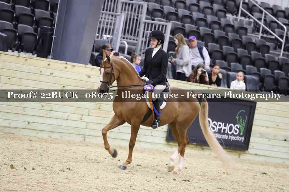 Proof 22BUCK_08075