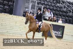 22BUCK_08075 proof