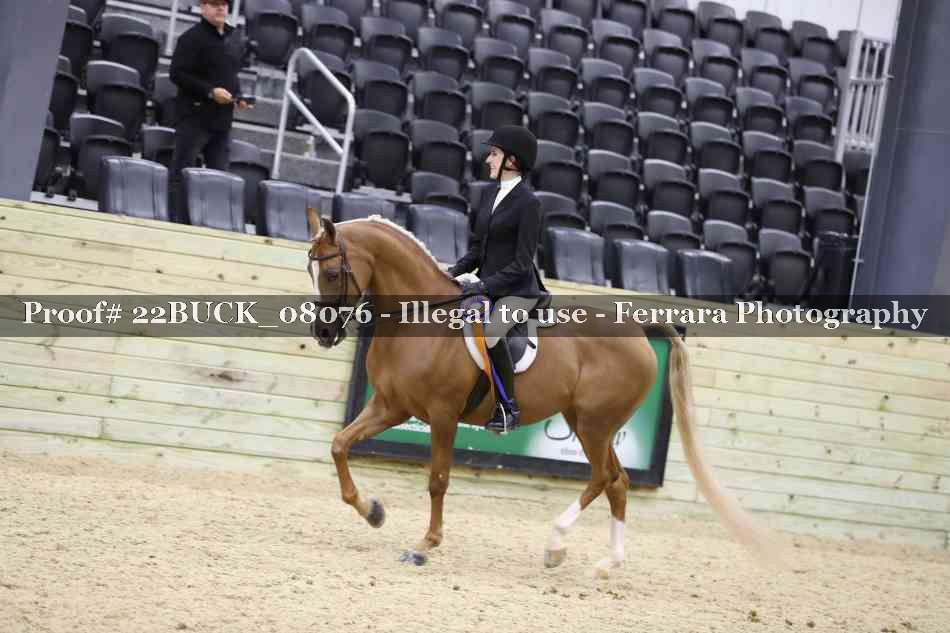Proof 22BUCK_08076