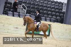 22BUCK_08076 proof