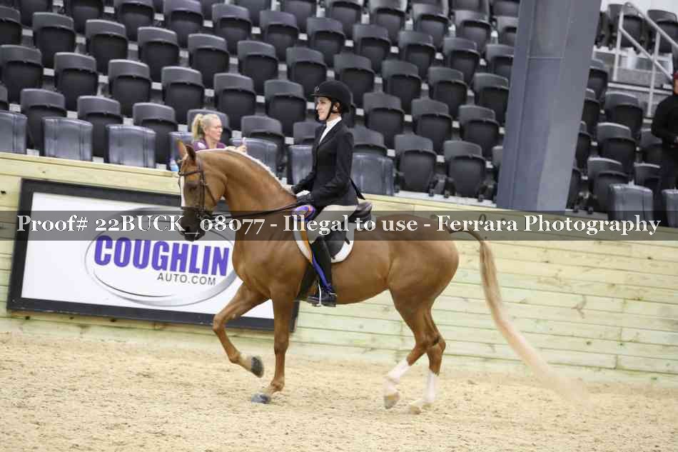 Proof 22BUCK_08077