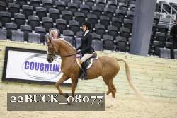22BUCK_08077 proof