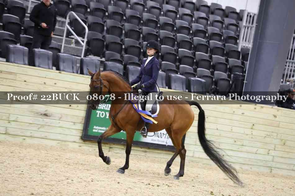 Proof 22BUCK_08078