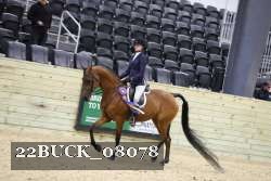 22BUCK_08078 proof