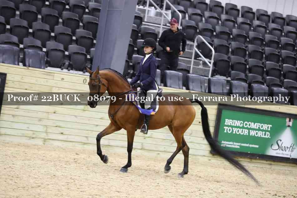 Proof 22BUCK_08079