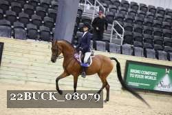 22BUCK_08079 proof