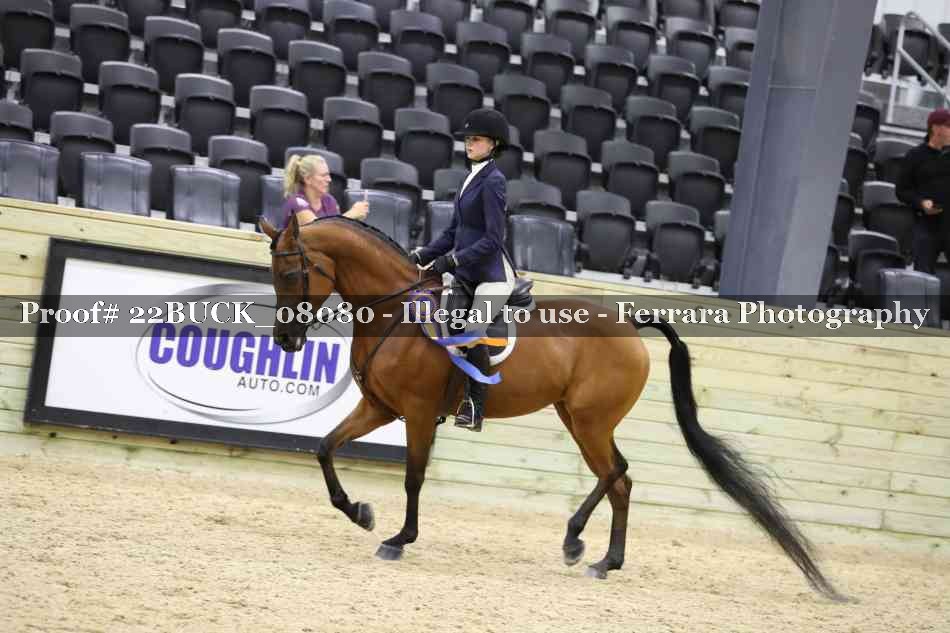 Proof 22BUCK_08080