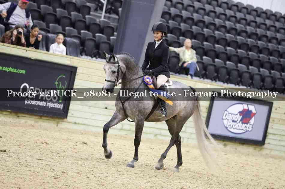 Proof 22BUCK_08081