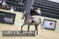 22BUCK_08081 proof