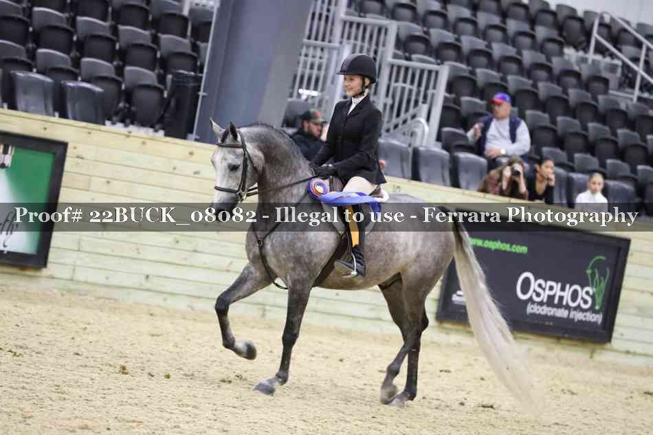 Proof 22BUCK_08082
