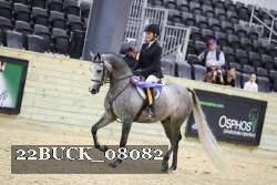 22BUCK_08082 proof