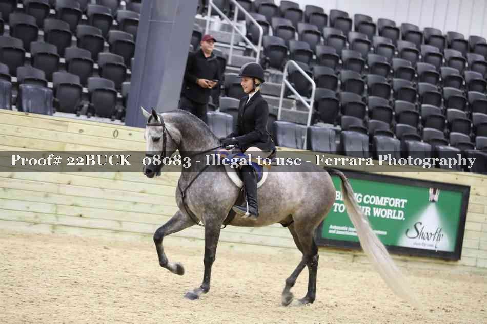 Proof 22BUCK_08083