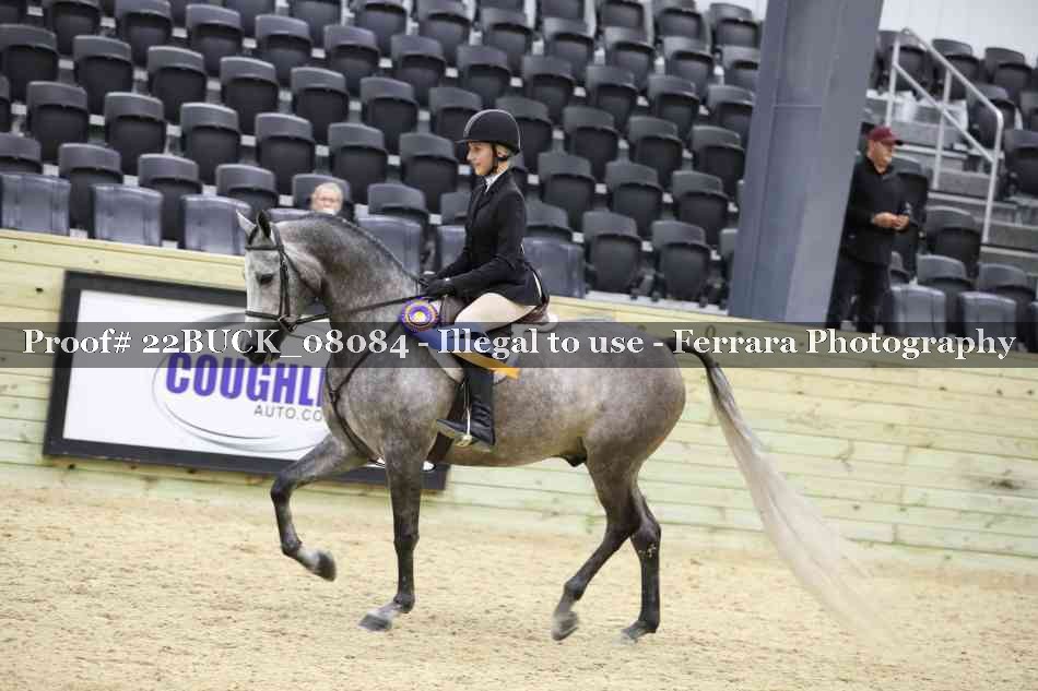 Proof 22BUCK_08084