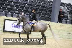 22BUCK_08084 proof