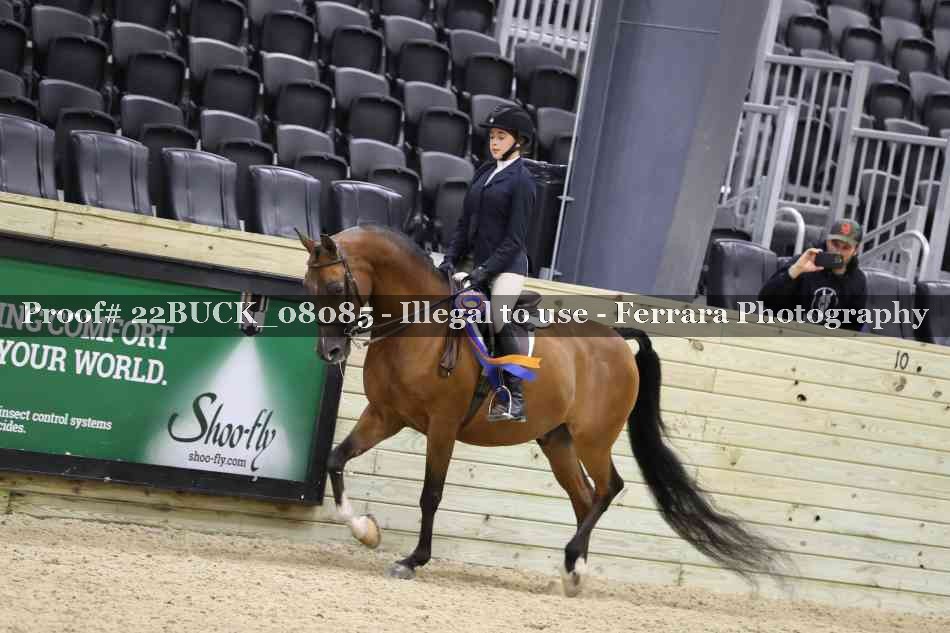 Proof 22BUCK_08085