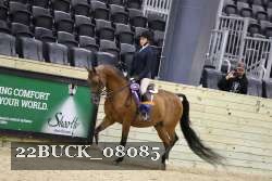 22BUCK_08085 proof