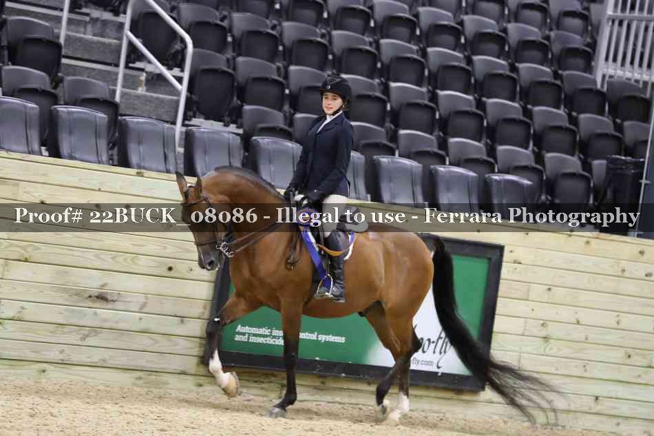 Proof 22BUCK_08086