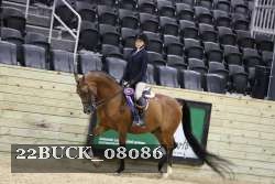 22BUCK_08086 proof