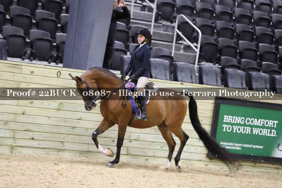 Proof 22BUCK_08087