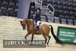 22BUCK_08087 proof