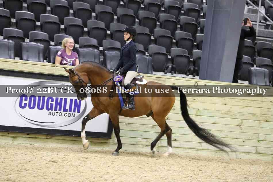 Proof 22BUCK_08088