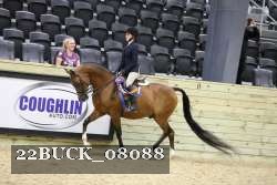 22BUCK_08088 proof