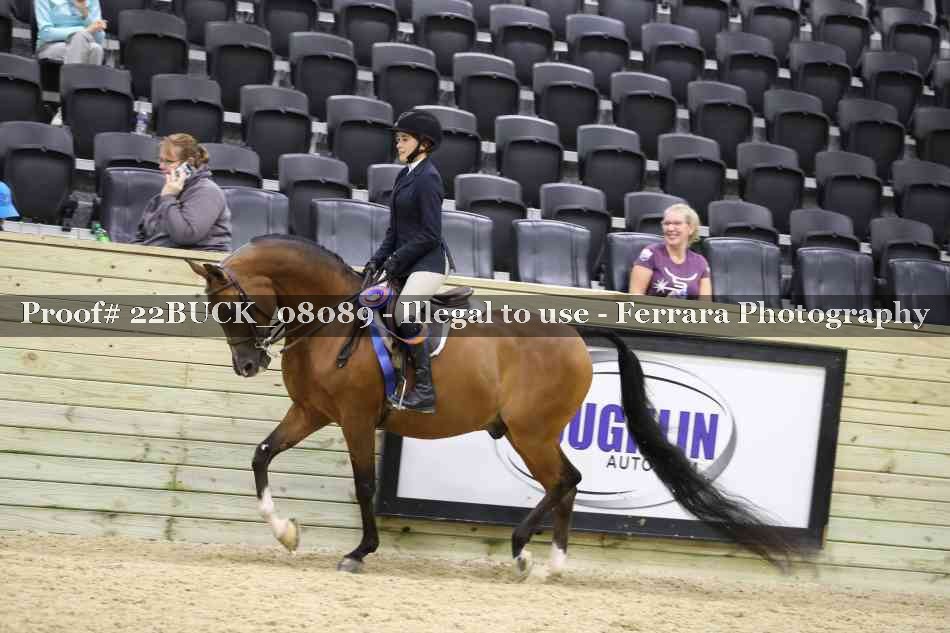 Proof 22BUCK_08089