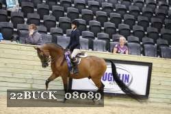 22BUCK_08089 proof