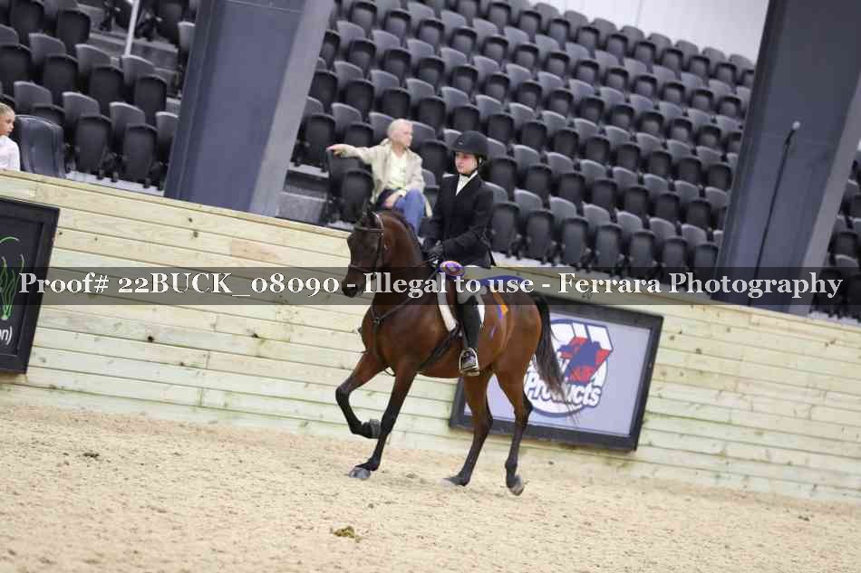 Proof 22BUCK_08090