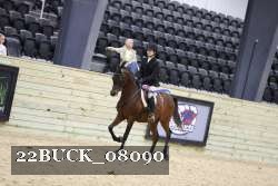 22BUCK_08090 proof