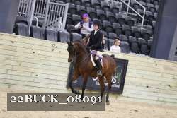22BUCK_08091 proof