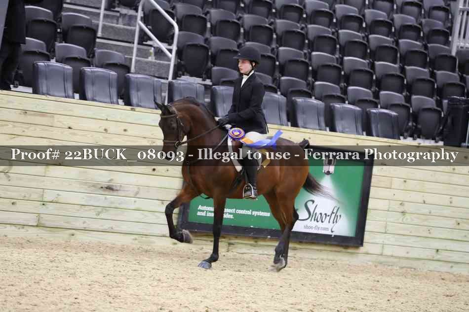 Proof 22BUCK_08093
