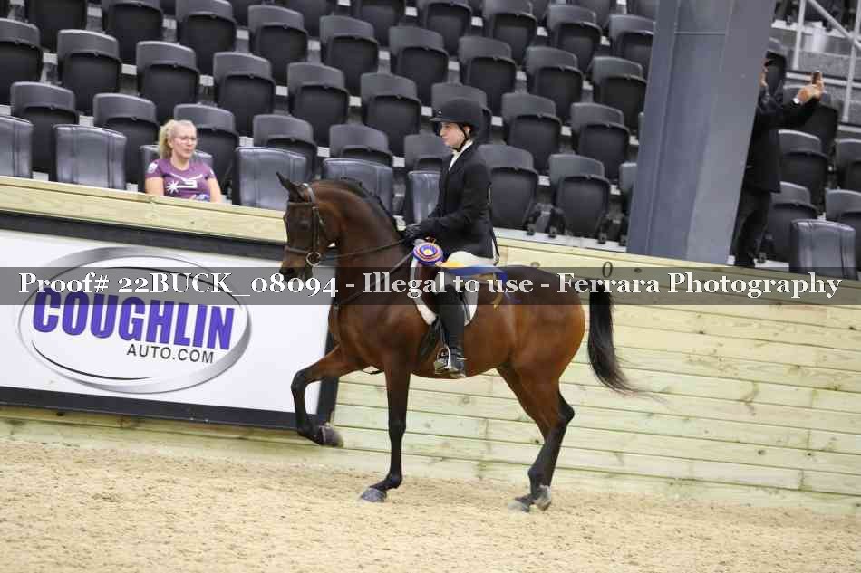 Proof 22BUCK_08094