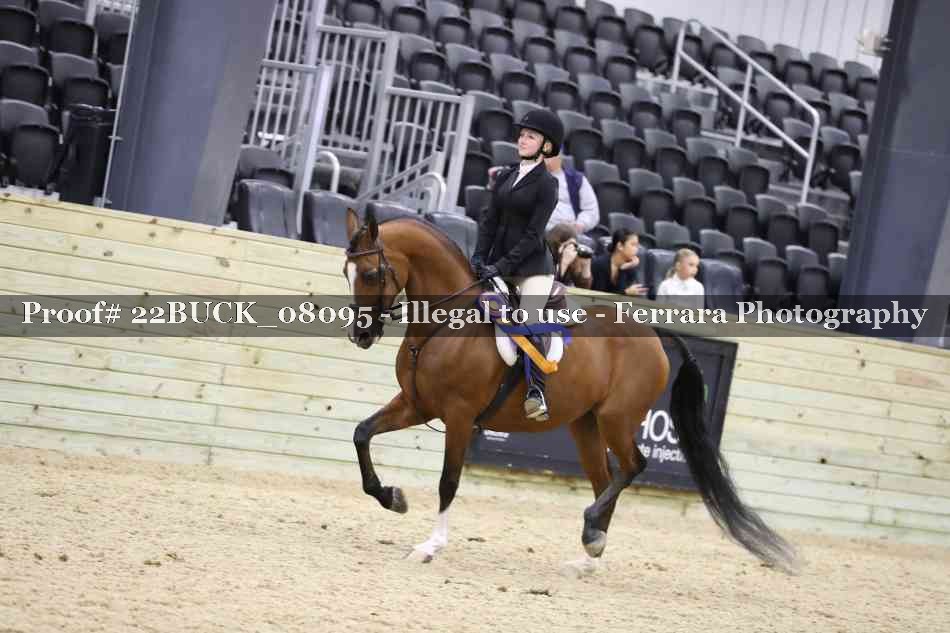 Proof 22BUCK_08095