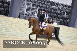 22BUCK_08095 proof
