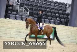 22BUCK_08096 proof