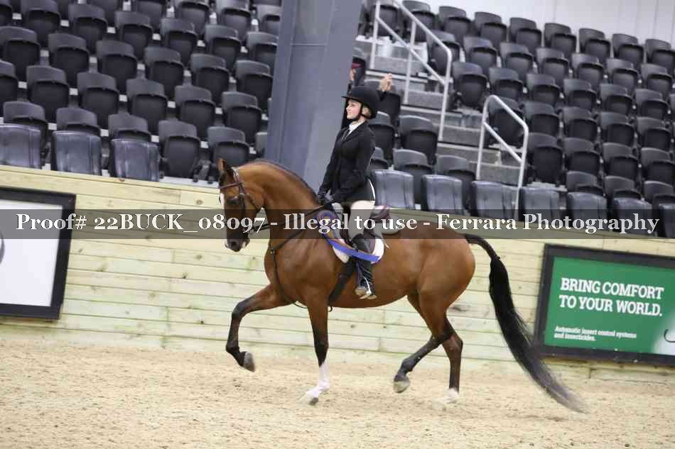 Proof 22BUCK_08097