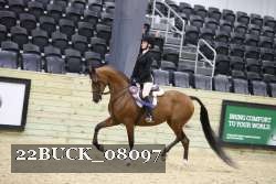 22BUCK_08097 proof